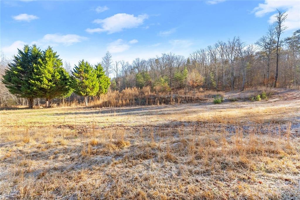 0 Dixon Drive Cleveland, GA 30528 - Photo 17 of 19 a view of water view with large trees