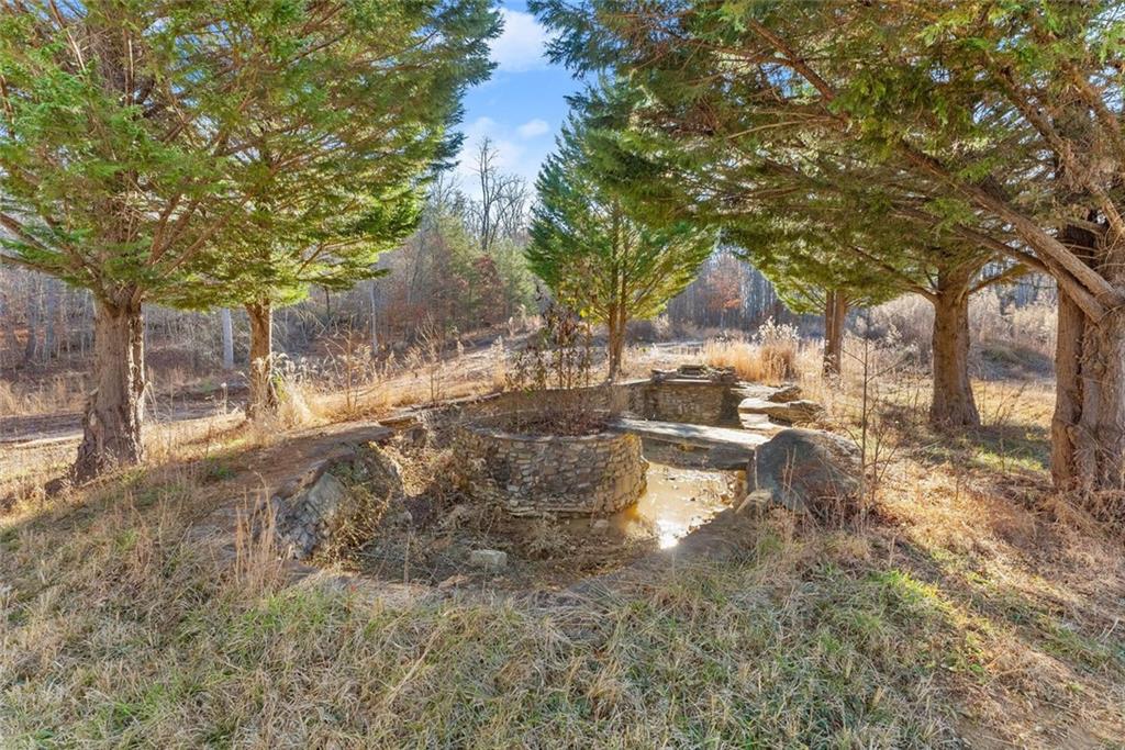 0 Dixon Drive Cleveland, GA 30528 - Photo 19 of 19 a view of yard with trees