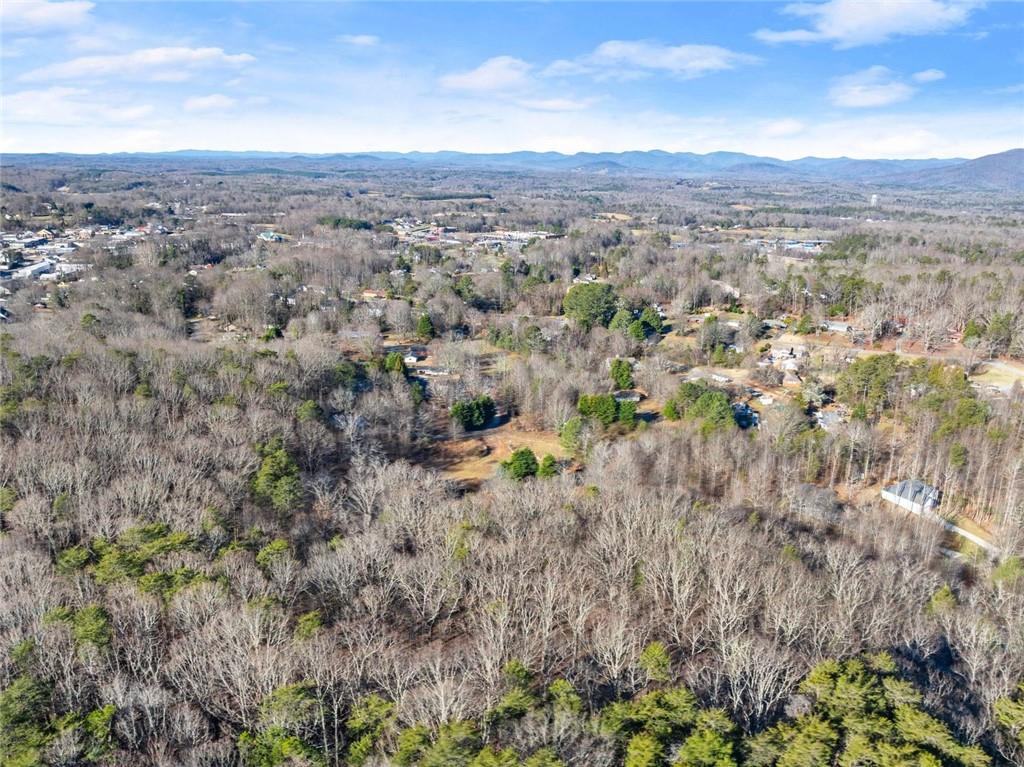 0 Dixon Drive Cleveland, GA 30528 - Photo 3 of 19 a view of a city with lush green forest