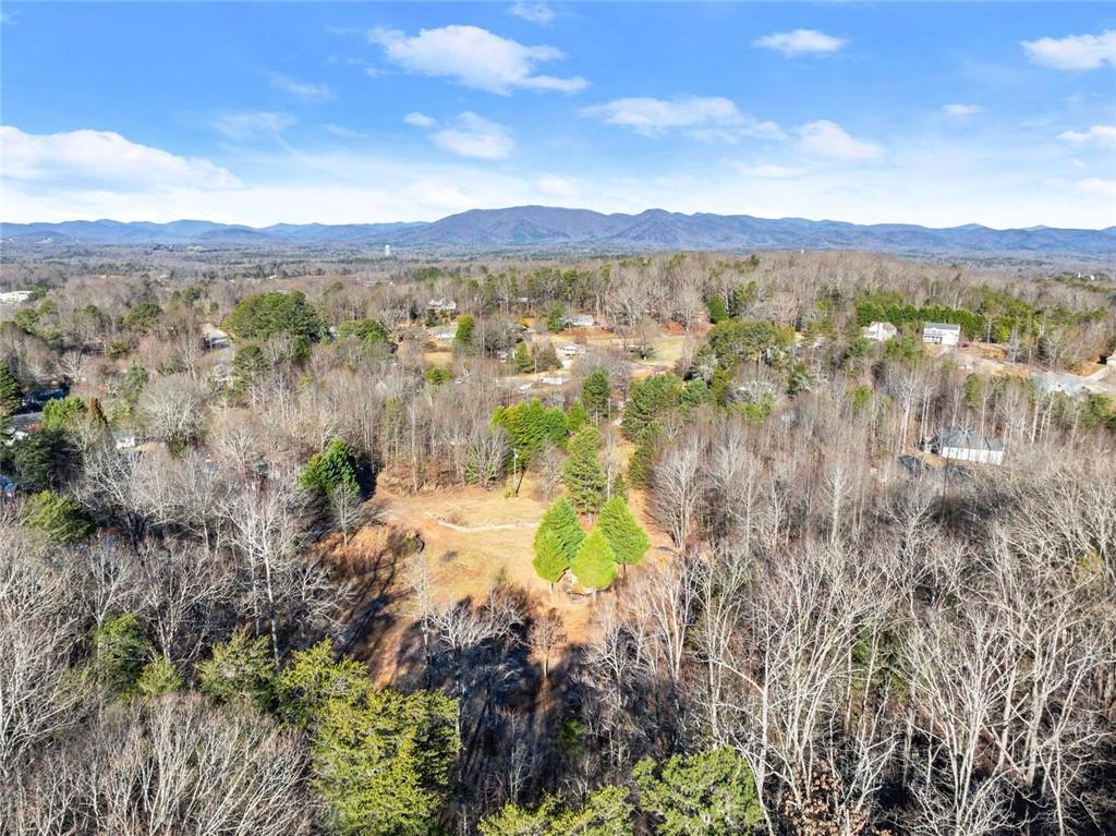 0 Dixon Drive Cleveland, GA 30528 - Photo 4 of 19 a view of lake with mountain