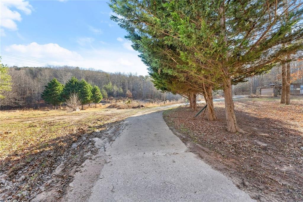 0 Dixon Drive Cleveland, GA 30528 - Photo 7 of 19 a view of road with large trees