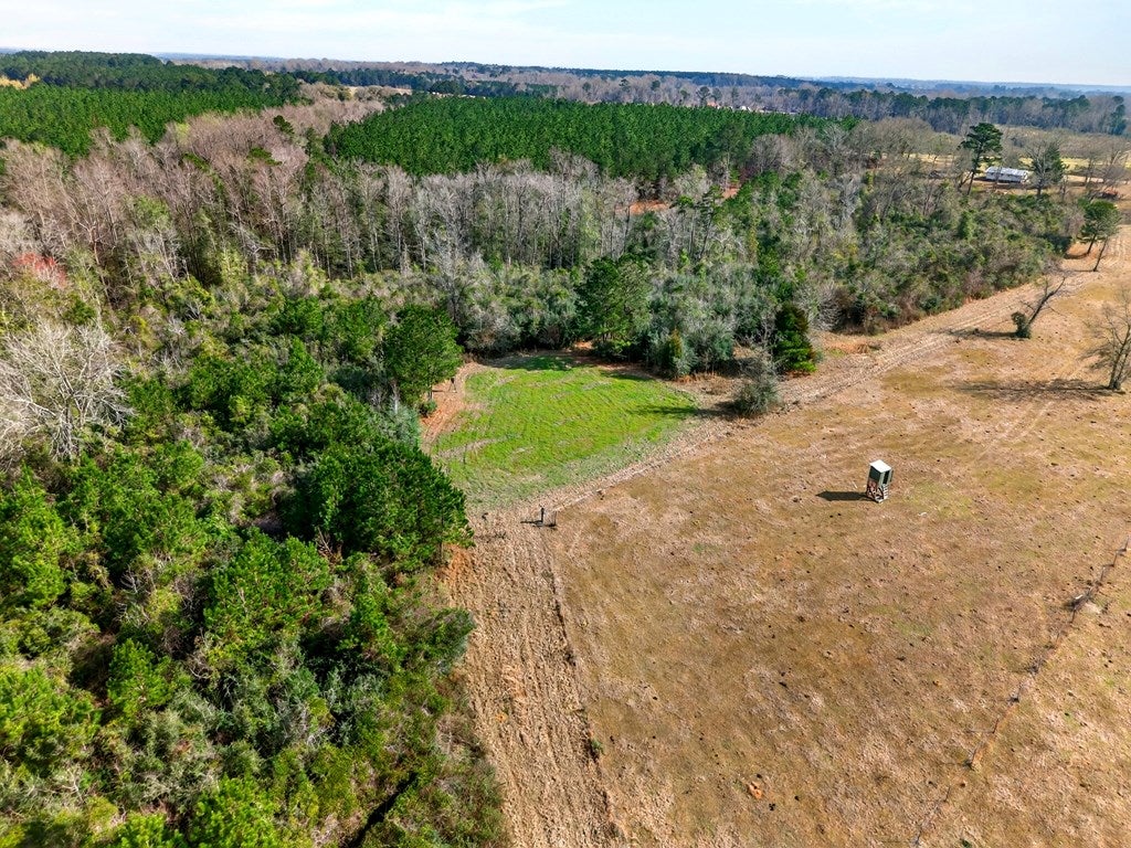 67 Angie Road Sandy Hook, MS 39478 - Photo 27 of 32 Gallery Image 27