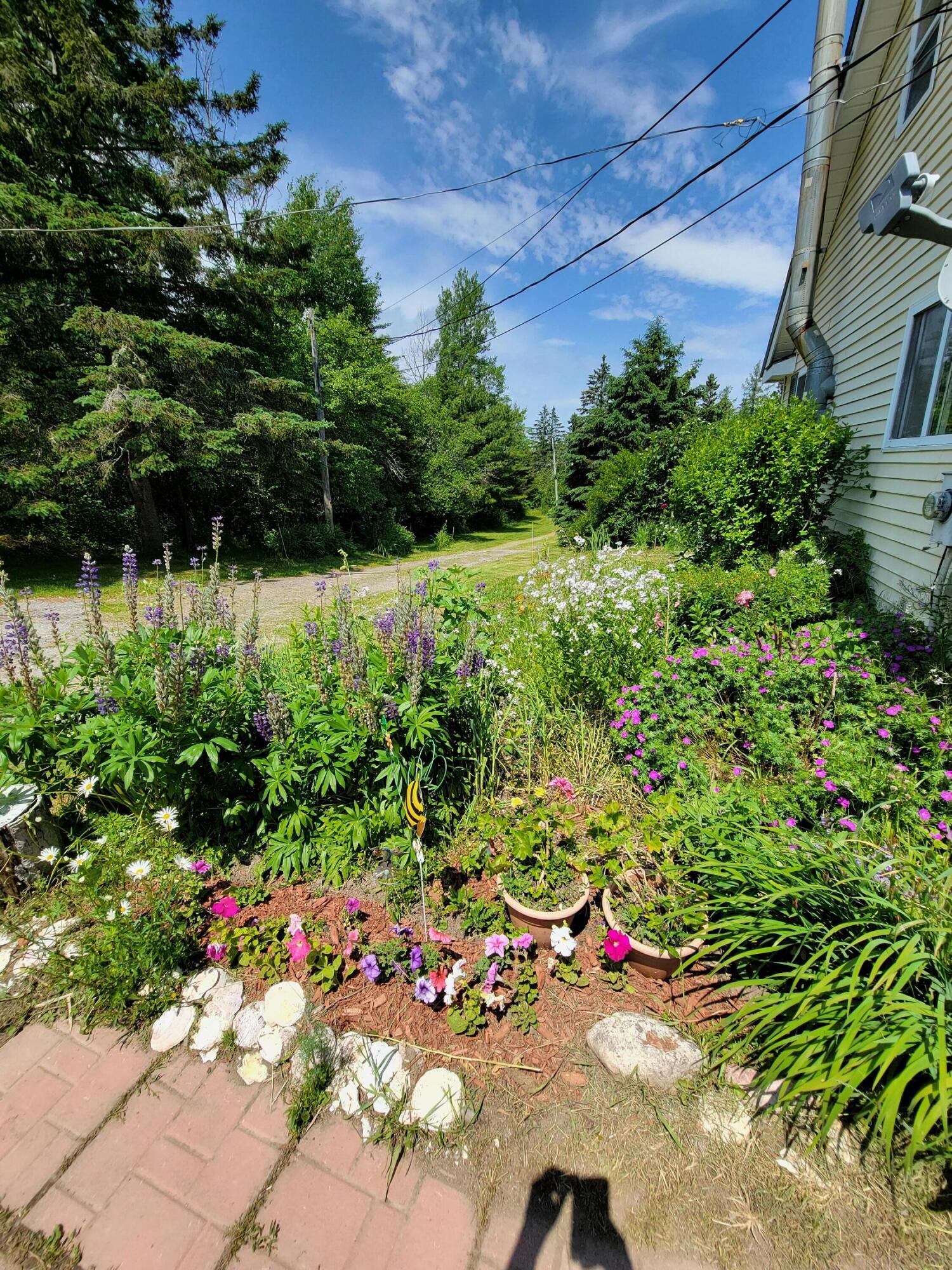 33 Gin Cove Road Perry, ME 04667 - Photo 12 of 49 20220627_111610