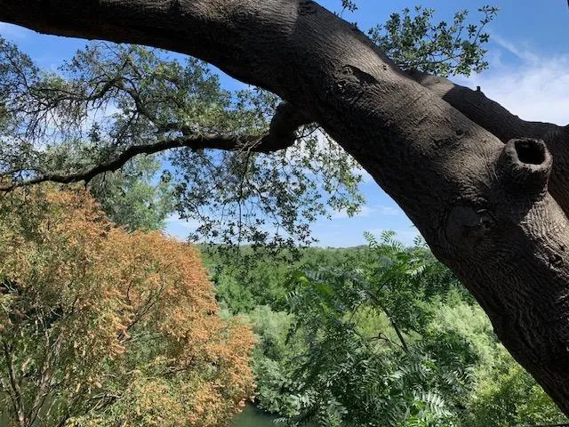 $499,000 | 1242 River Bluff Drive, Oakdale, CA 95361