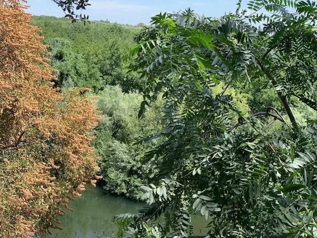 $499,000 | 1242 River Bluff Drive, Oakdale, CA 95361