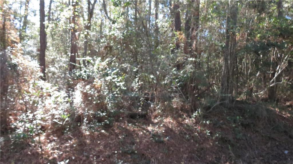 0 East Main Street Lacombe, LA 70445 - Photo 4 of 4