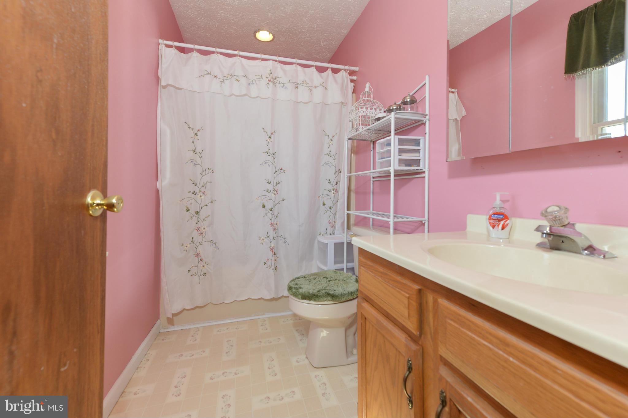 107 Turtleback Court Rising Sun, MD 21911 - Photo 10 of 26 Bath (Master)