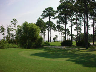 340 Indigo Loop Miramar Beach, FL 32550 - Photo 28 of 29 Gallery Image 28