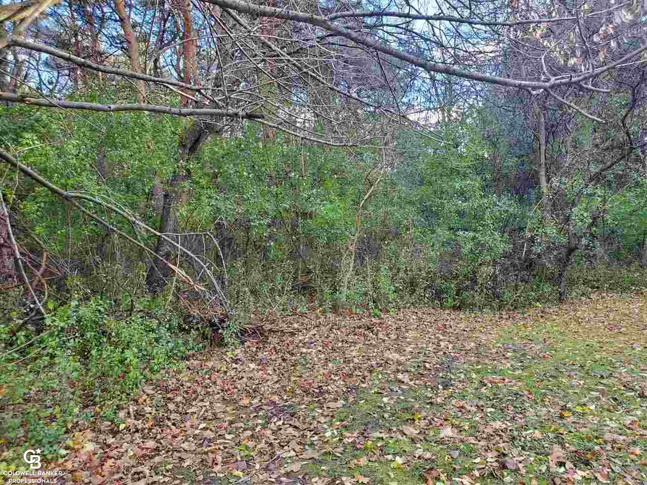 7700 Jorden Road Yale, MI 48097 - Photo 46 of 50