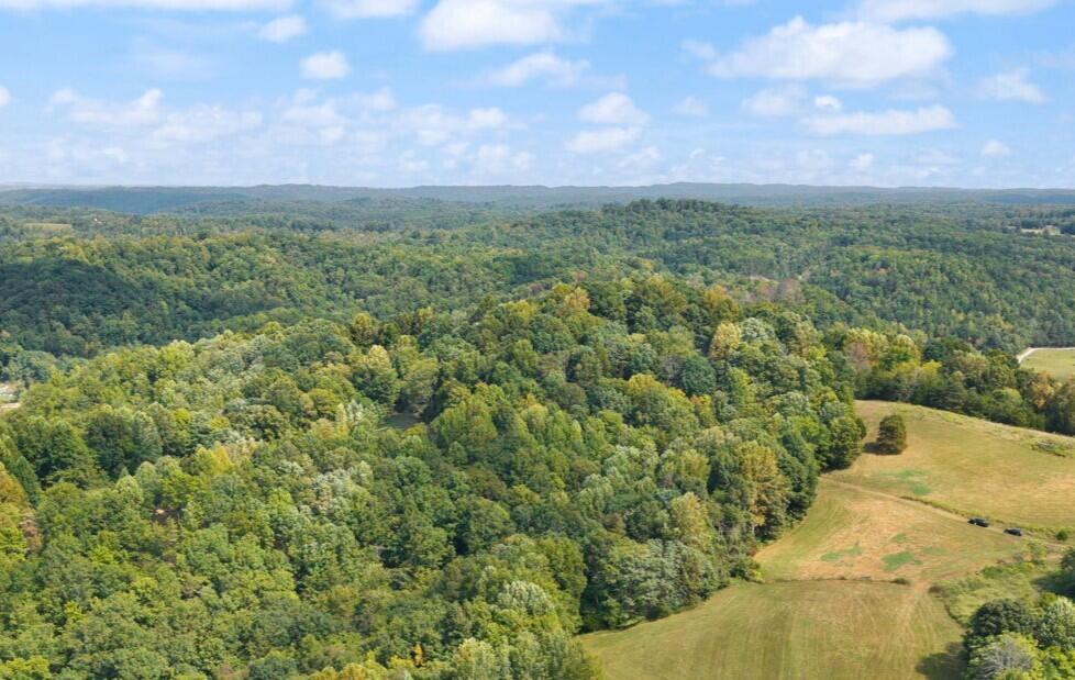 720 Snow Road Kings Mountain, KY 40442 - Photo 9 of 14 5-6 Snow Rd, Middleburg, KY
