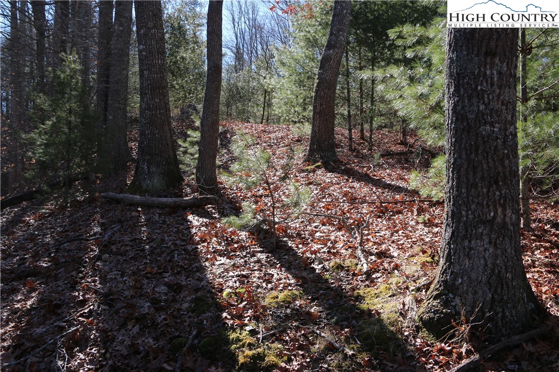Lot 9 Clearview Ridge Road Crumpler, NC 28617 - Photo 11 of 21 a view of backyard with green space