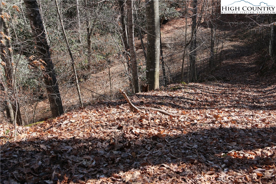 Lot 9 Clearview Ridge Road Crumpler, NC 28617 - Photo 12 of 21 a view of a yard with large tree