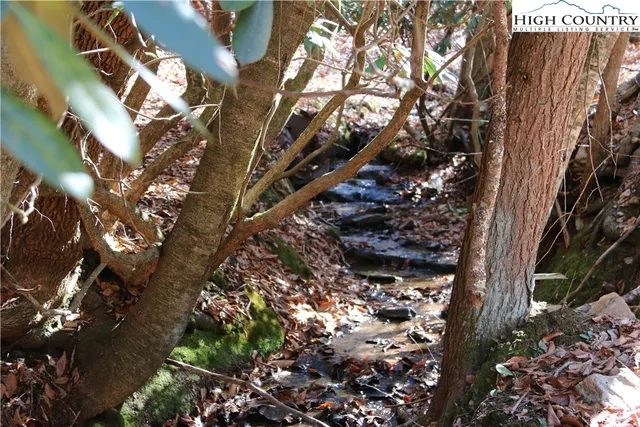 a view of a tree in a yard