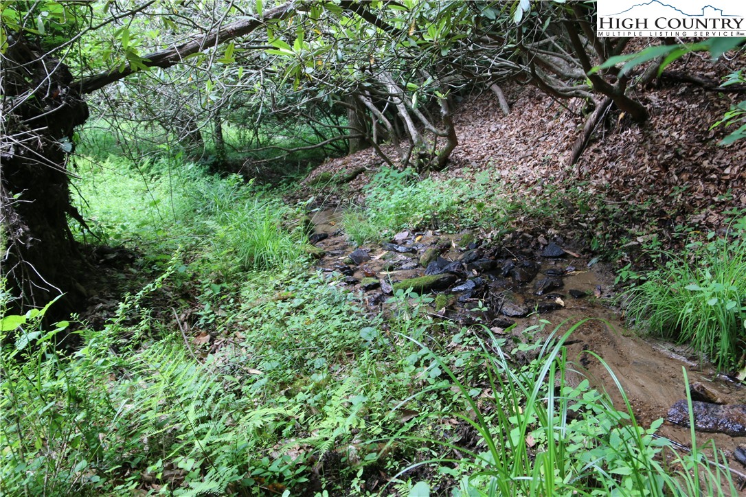Lot 9 Clearview Ridge Road Crumpler, NC 28617 - Photo 15 of 21 a plant view in yard