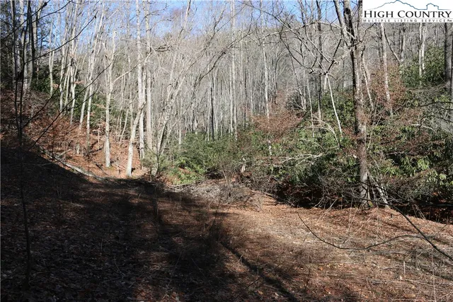 a view of outdoor space and garden