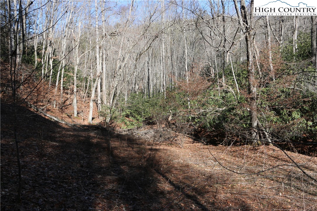 Lot 9 Clearview Ridge Road Crumpler, NC 28617 - Photo 17 of 21 a view of outdoor space and garden
