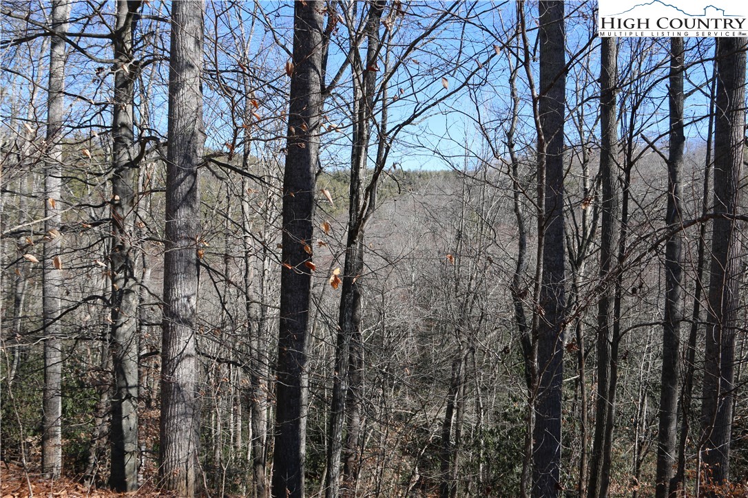Lot 9 Clearview Ridge Road Crumpler, NC 28617 - Photo 20 of 21 a view of forest