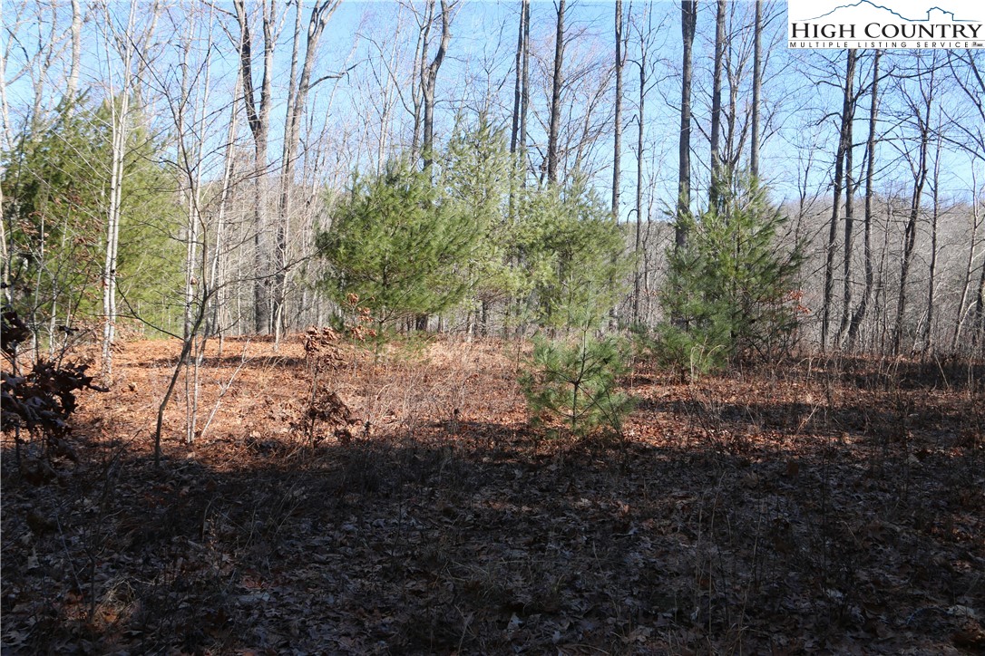 Lot 9 Clearview Ridge Road Crumpler, NC 28617 - Photo 2 of 21 a view of backyard with green space
