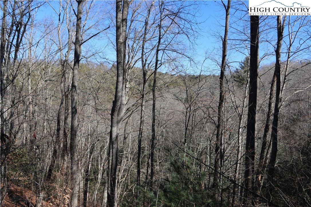 Lot 9 Clearview Ridge Road Crumpler, NC 28617 - Photo 21 of 21 a view of a forest with trees