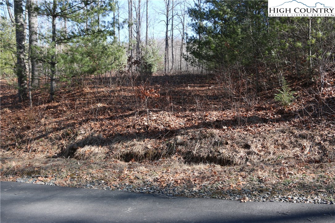 Lot 9 Clearview Ridge Road Crumpler, NC 28617 - Photo 4 of 21 a view of a yard with large trees