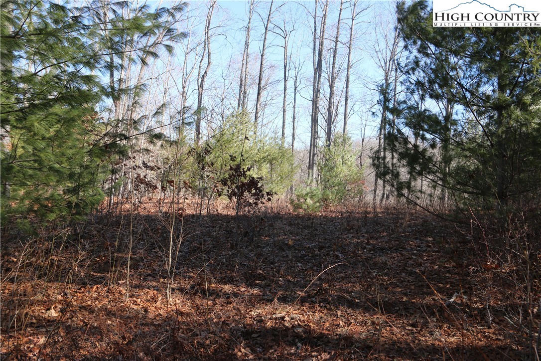 Lot 9 Clearview Ridge Road Crumpler, NC 28617 - Photo 7 of 21 a view of backyard with green space