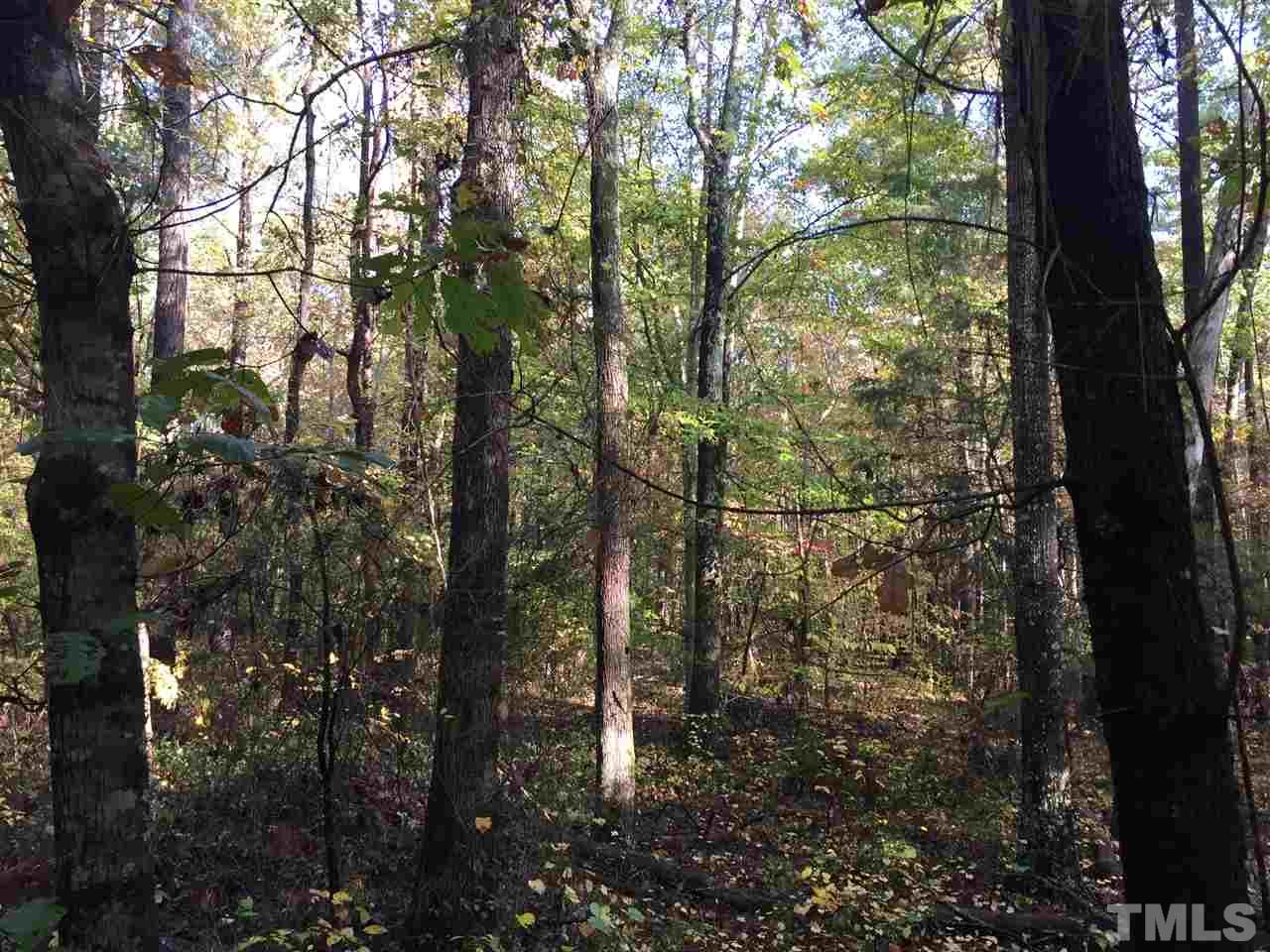 1911 Ellis Chapel Road Bahama, NC 27503 - Photo 1 of 3 a view of forest