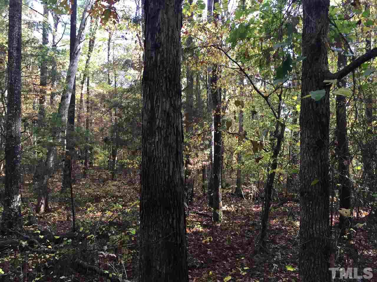 1911 Ellis Chapel Road Bahama, NC 27503 - Photo 2 of 3 a view of forest