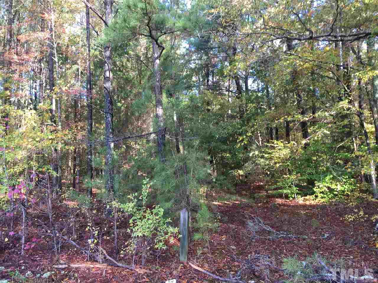 1911 Ellis Chapel Road Bahama, NC 27503 - Photo 3 of 3 a view of a forest with lots of trees