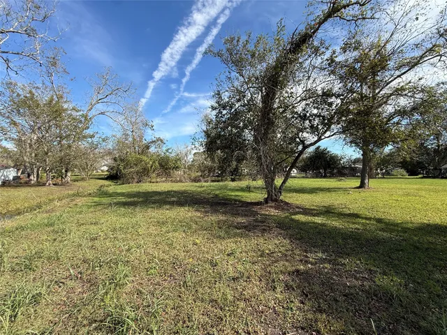 a view of yard with green space