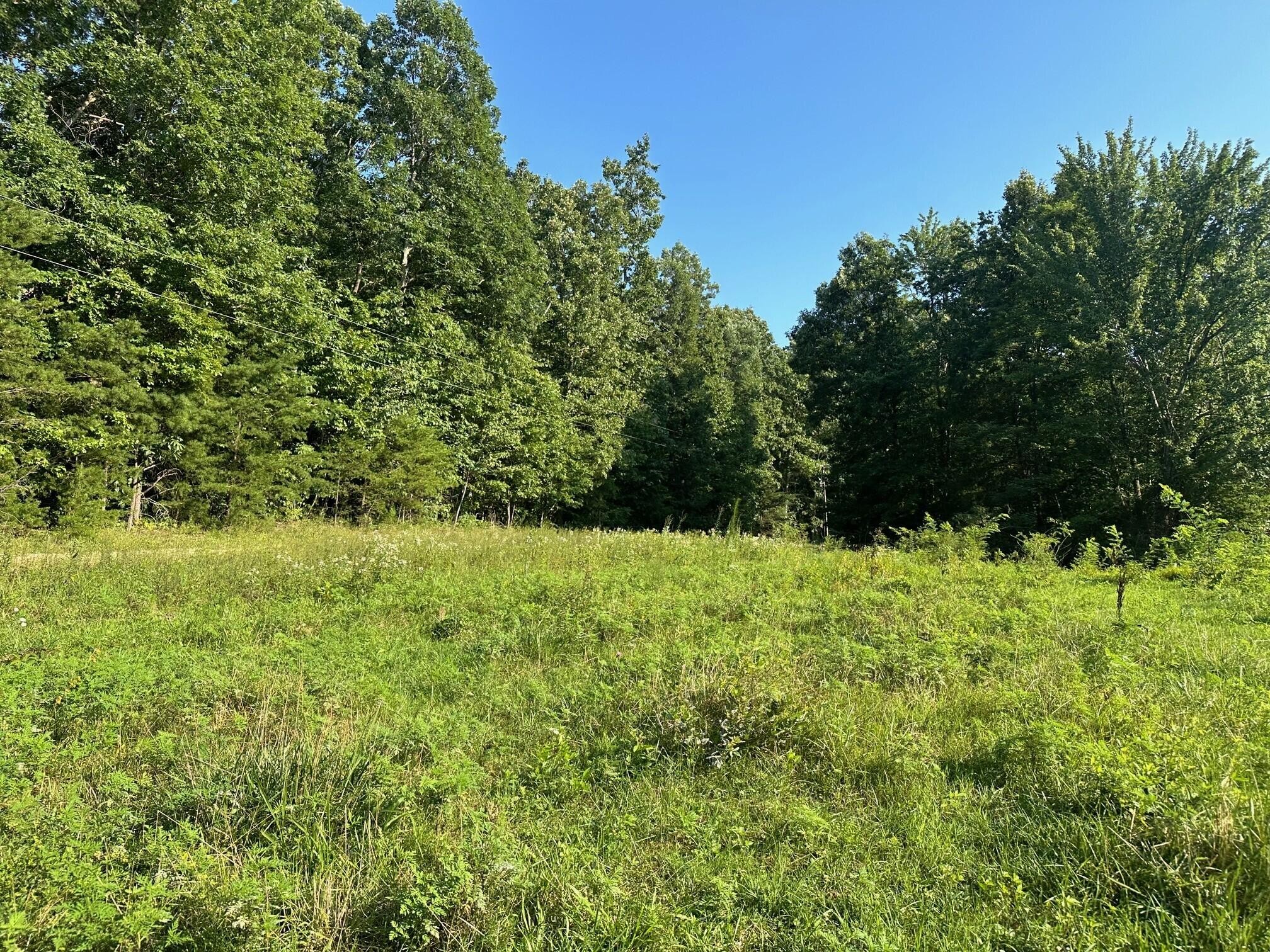 3 Prater Road Pikeville, TN 37367 - Photo 1 of 20 Gallery Image 1