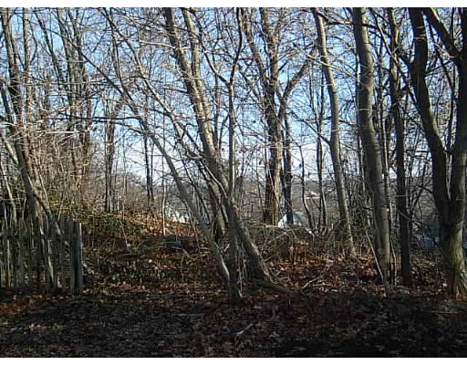 6a Hawthorne Road Waltham, MA 02451 - Photo 1 of 1 Gallery Image 1