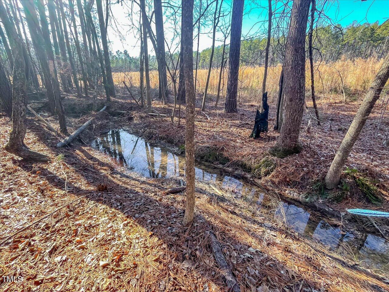 3 Robedo Rd Mount Mount Gilead, NC 27306 - Photo 20 of 24 26-026-Tract3-RobedoRd-MontgomeryCounty-