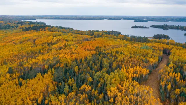 $52,900 | Parcel G Tbd Frazer Bay Road, Cook, MN 55723