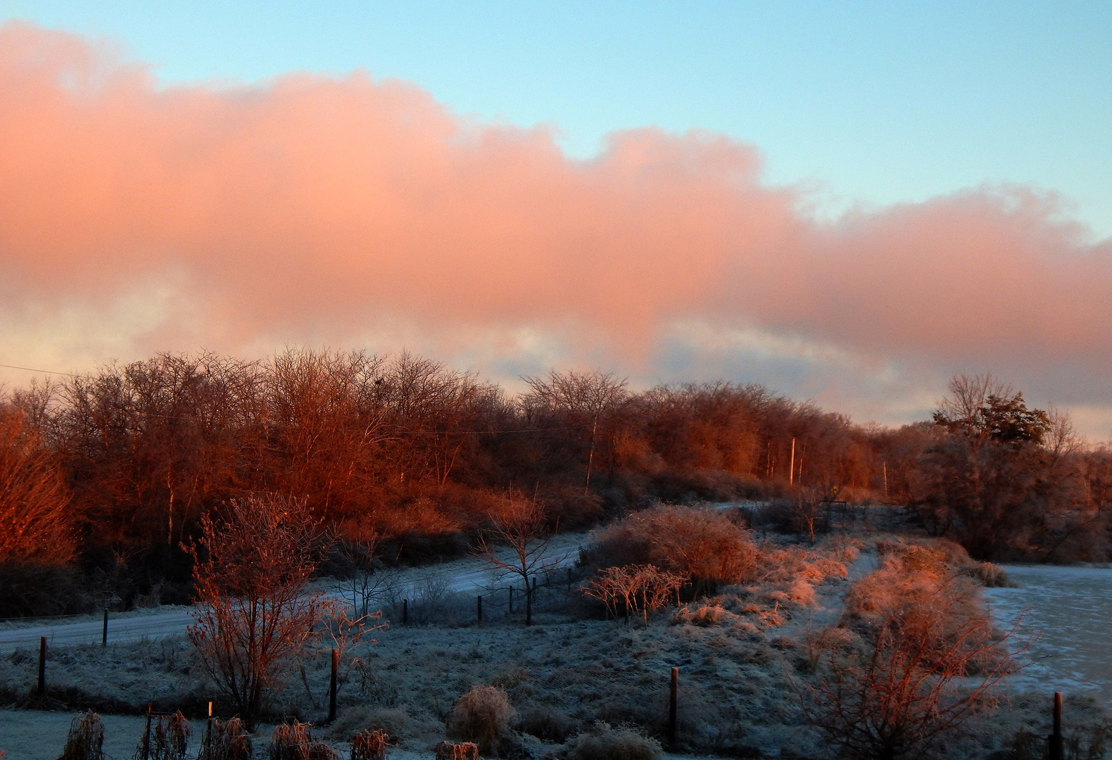8038 Adam Road Weldon, IL 61882 - Photo 42 of 53