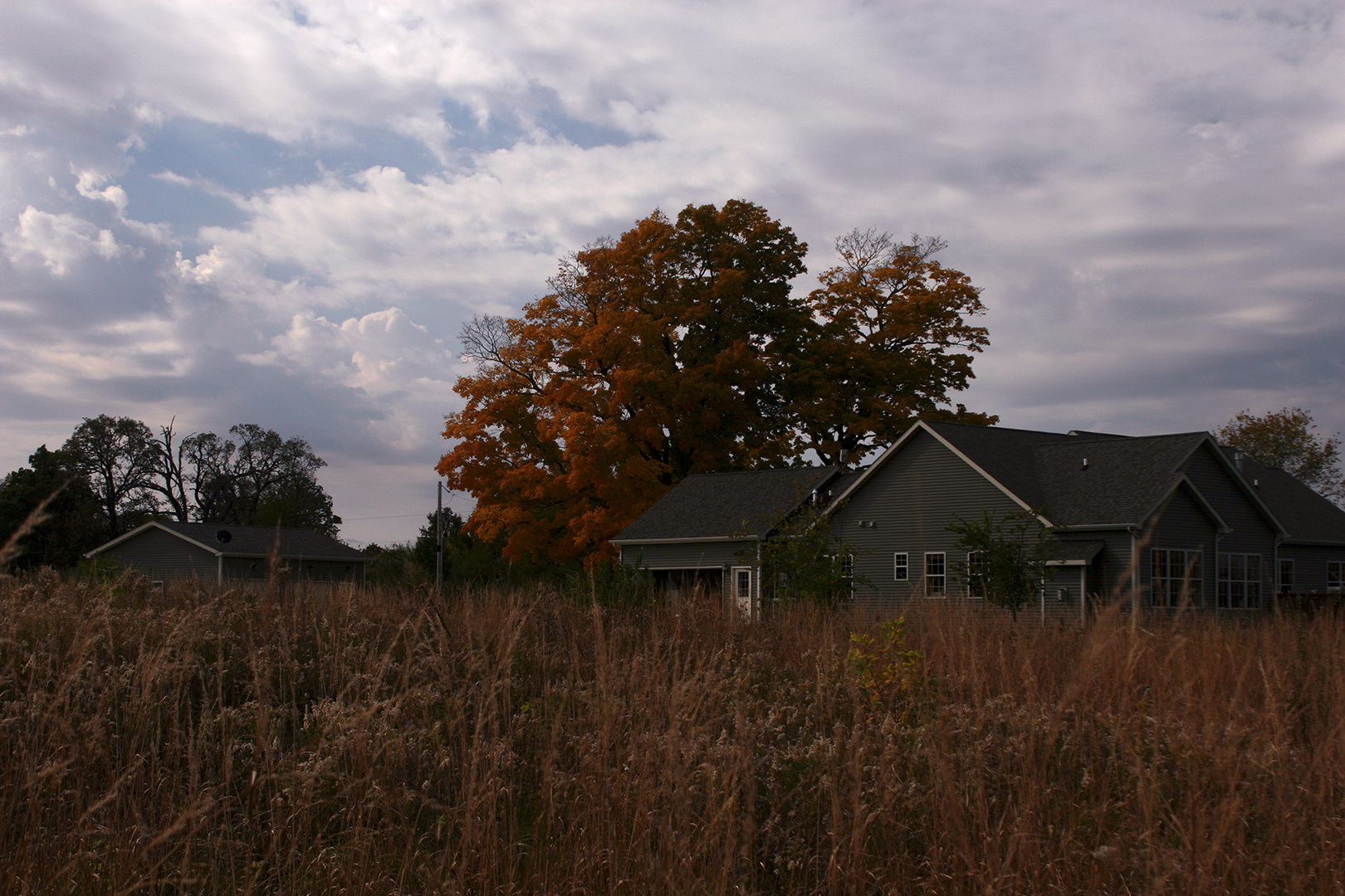 8038 Adam Road Weldon, IL 61882 - Photo 45 of 53 a backyard of a house with lots of green space