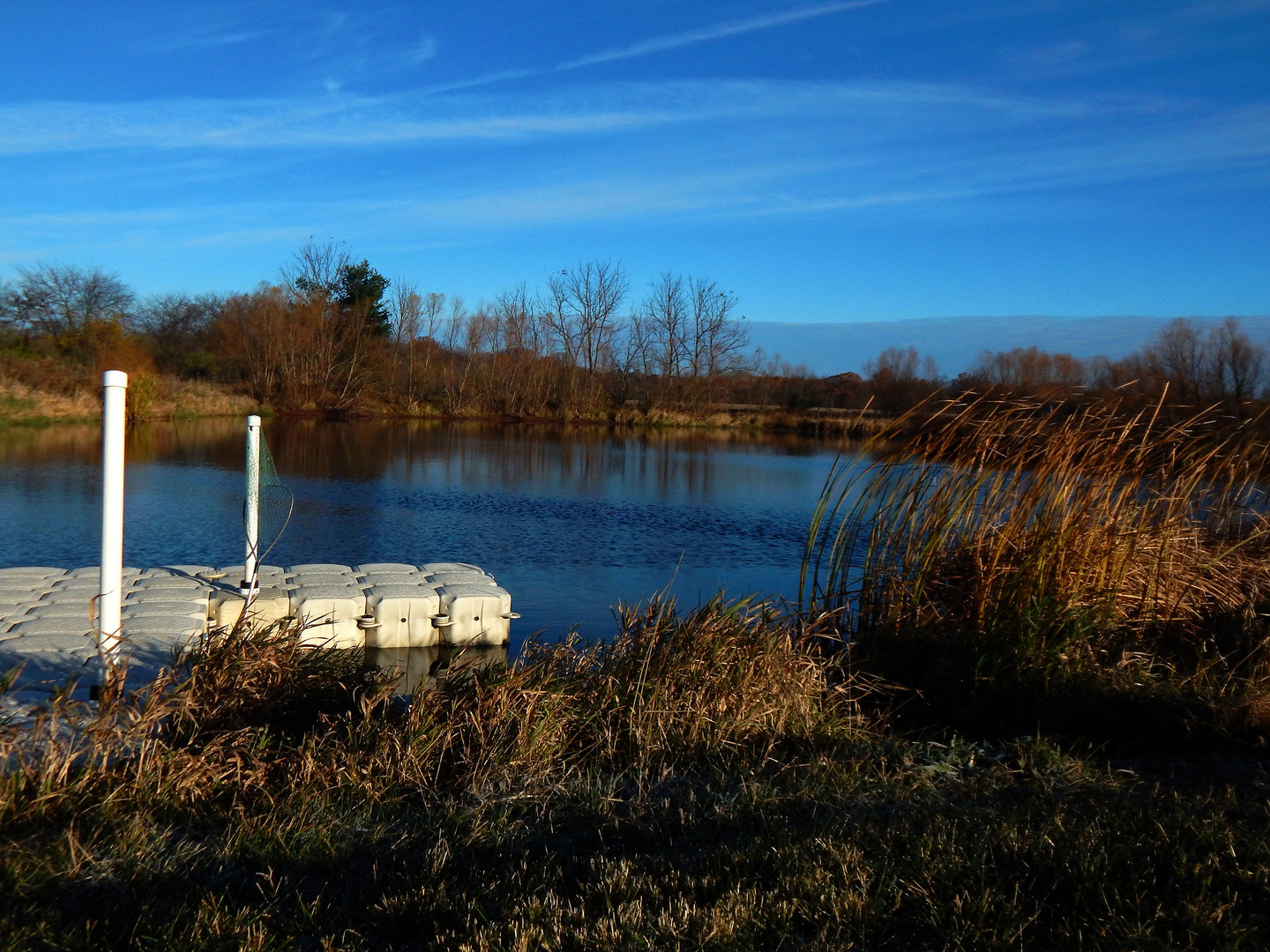 8038 Adam Road Weldon, IL 61882 - Photo 47 of 53