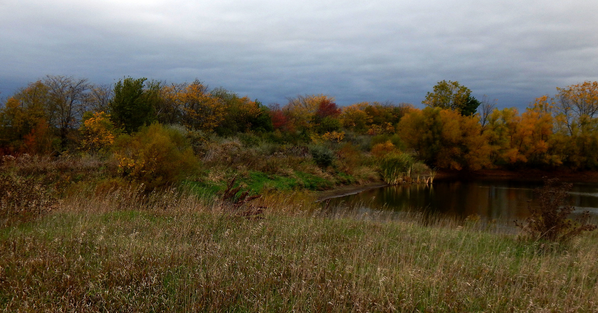 8038 Adam Road Weldon, IL 61882 - Photo 52 of 53 a view of a lake with a city