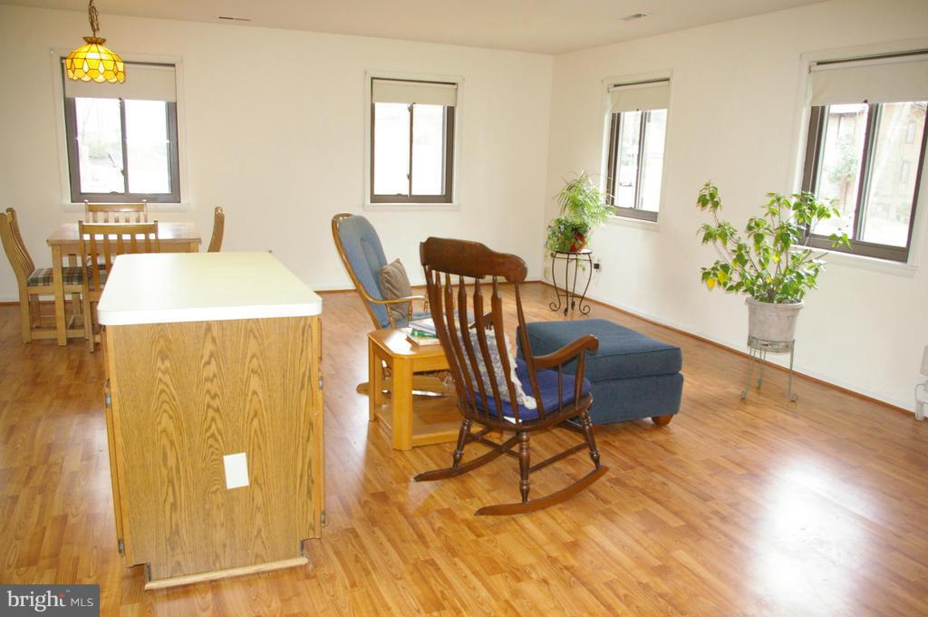 5322 Allerton Road Fairfax, VA 22032 - Photo 23 of 29 GREAT ROOM / INLAW SUITE