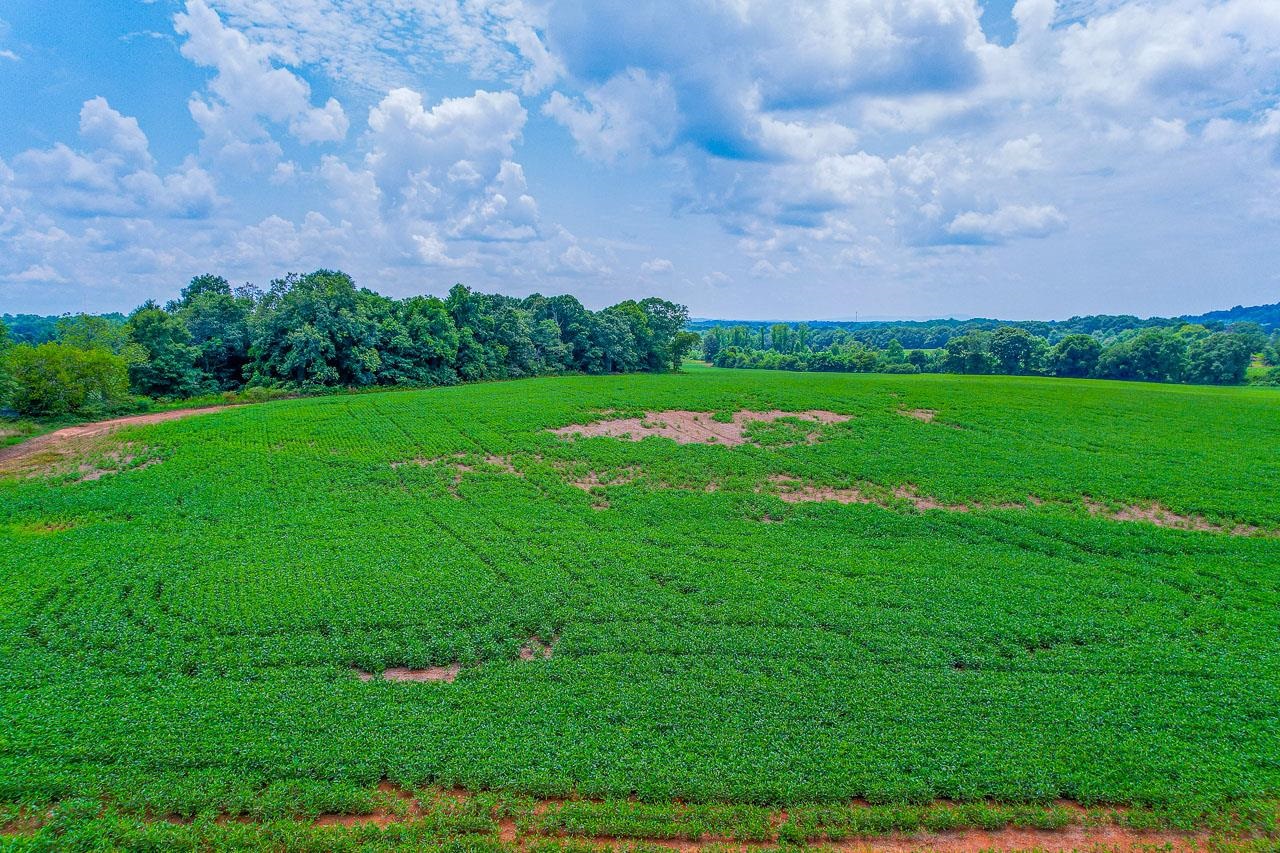 0 New Cut Road Wellford, SC 29385 - Photo 26 of 28 Gallery Image 26
