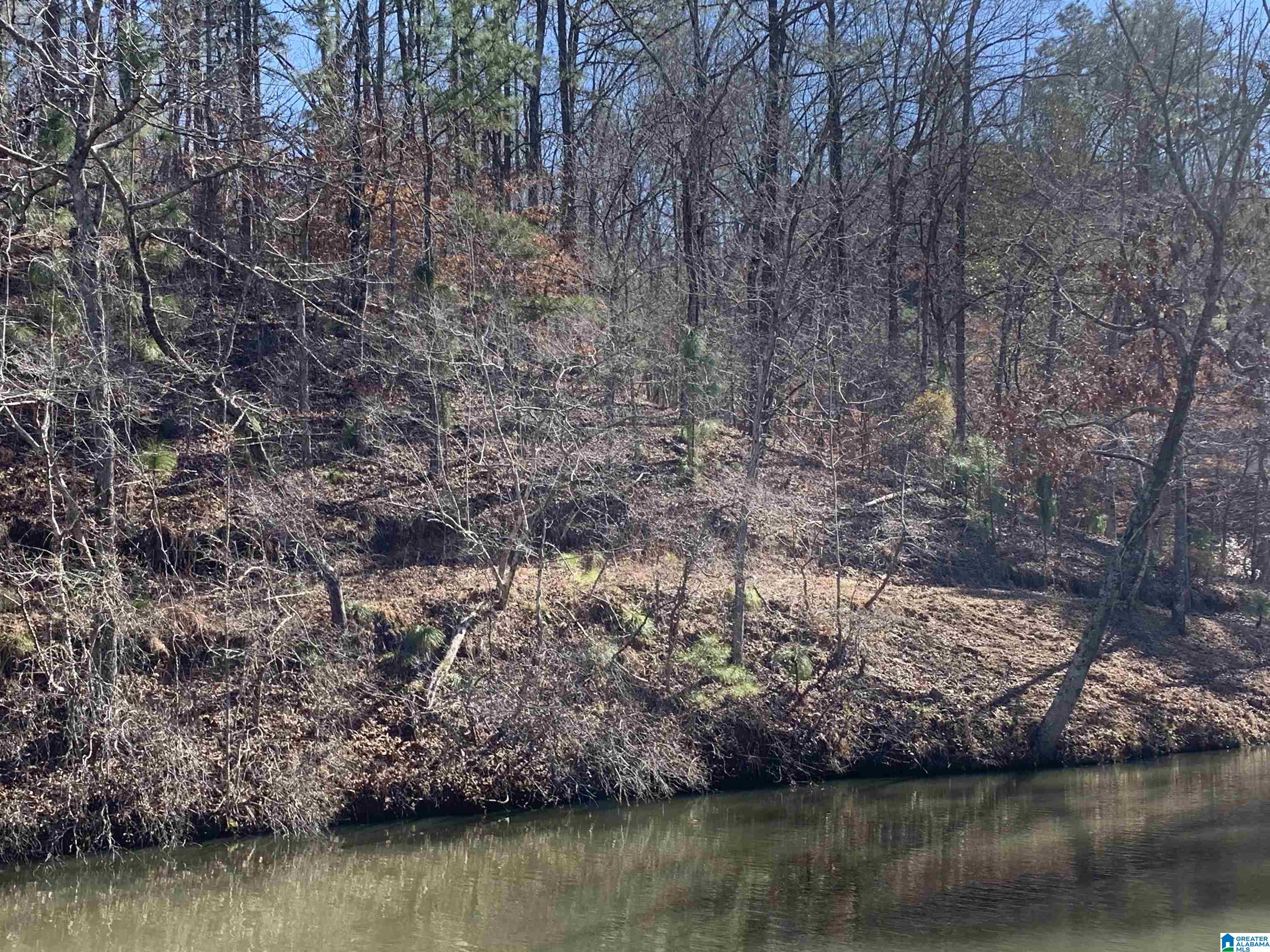 14 Highland Road, Unit LOT 14 AND 15 Goodwater, AL 35072 - Photo 6 of 7