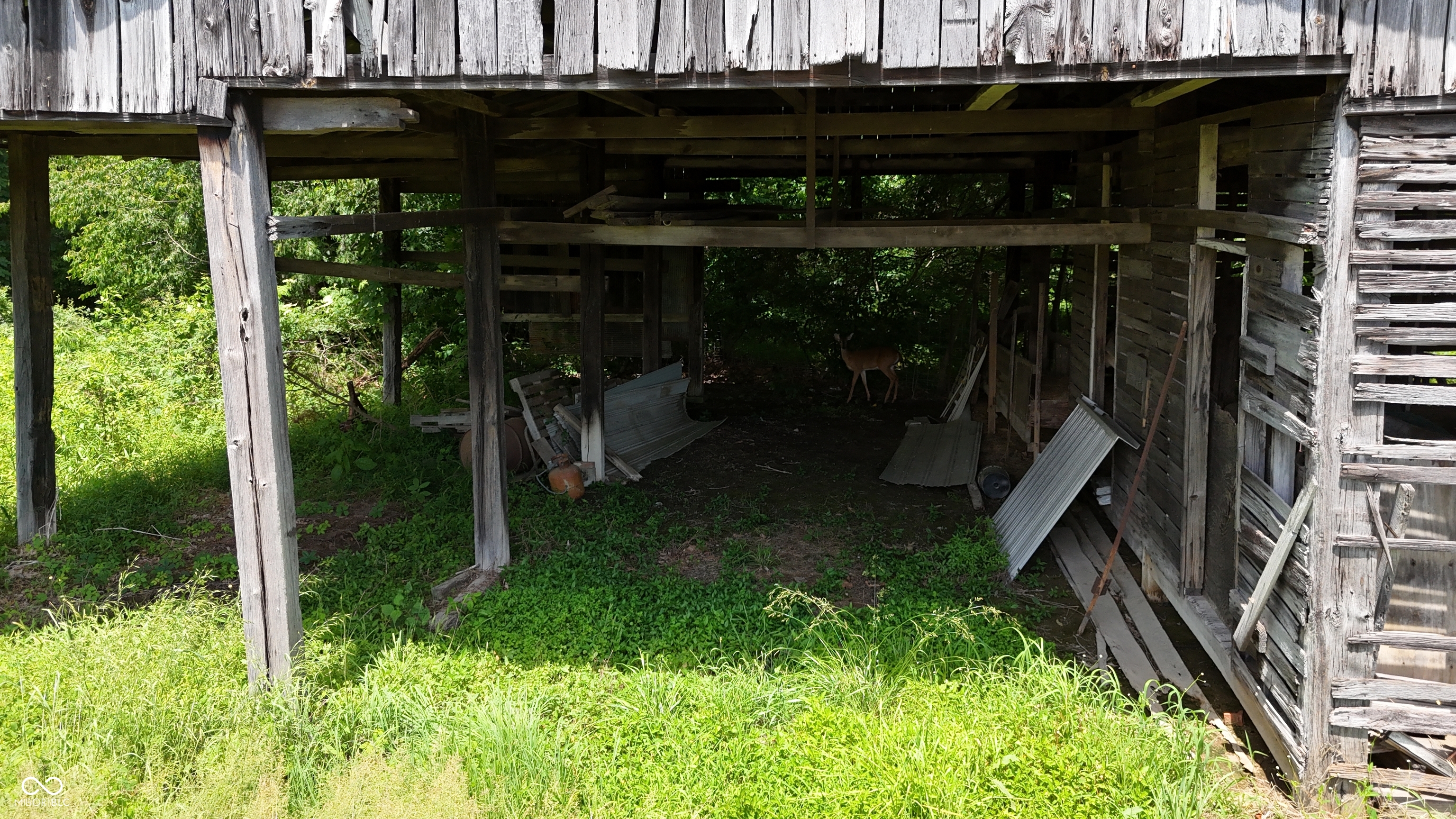 19205 Michigan Road Marysville, IN 47141 - Photo 25 of 91