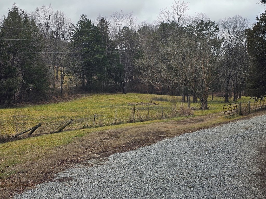 1007 Spring Creek Road Dandridge, TN 37725 - Photo 2 of 11