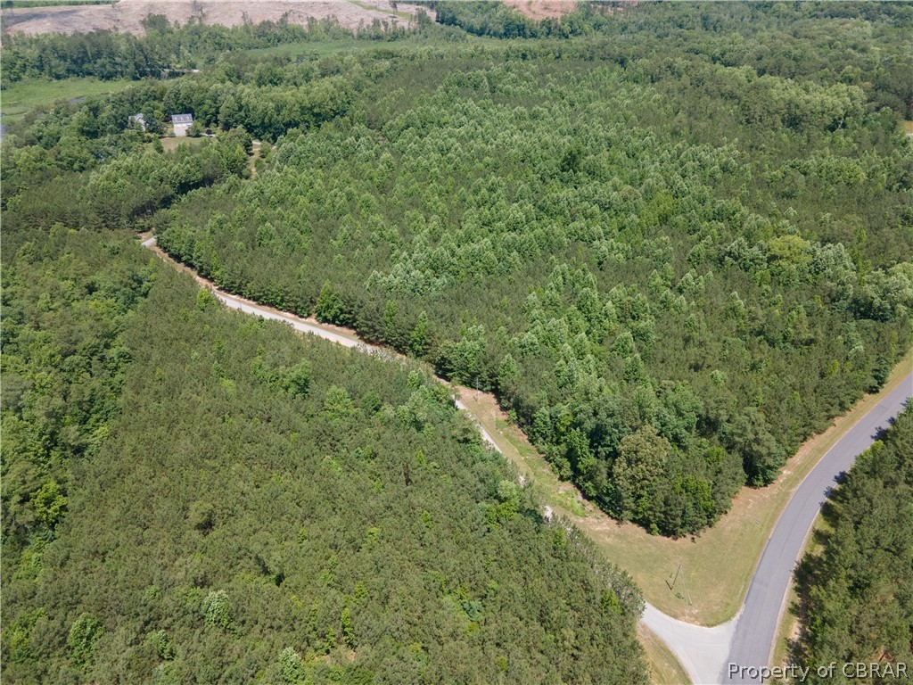Lot 5 Avis Trail Lancaster, VA 22503 - Photo 9 of 9 a view of a forest with a street