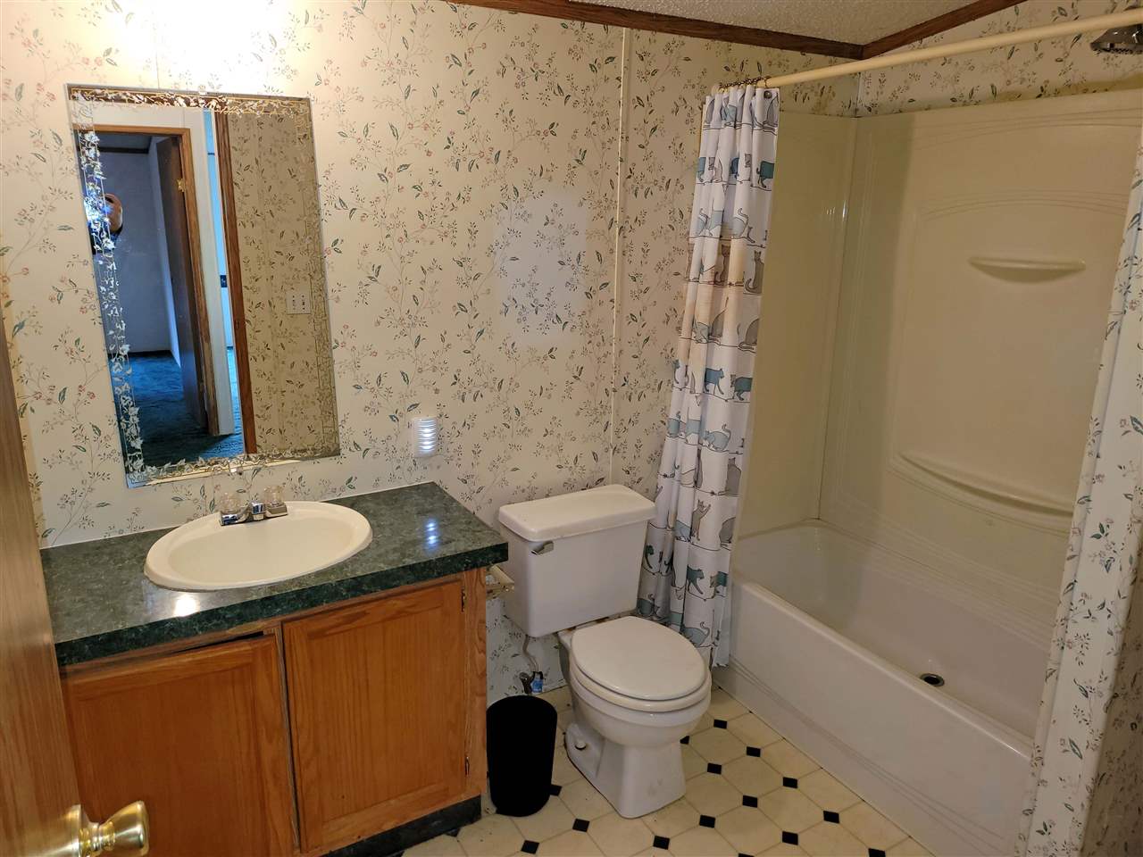 6639 South Graham Road St. Charles, MI 48655 - Photo 19 of 22 50039949-18.JPG
