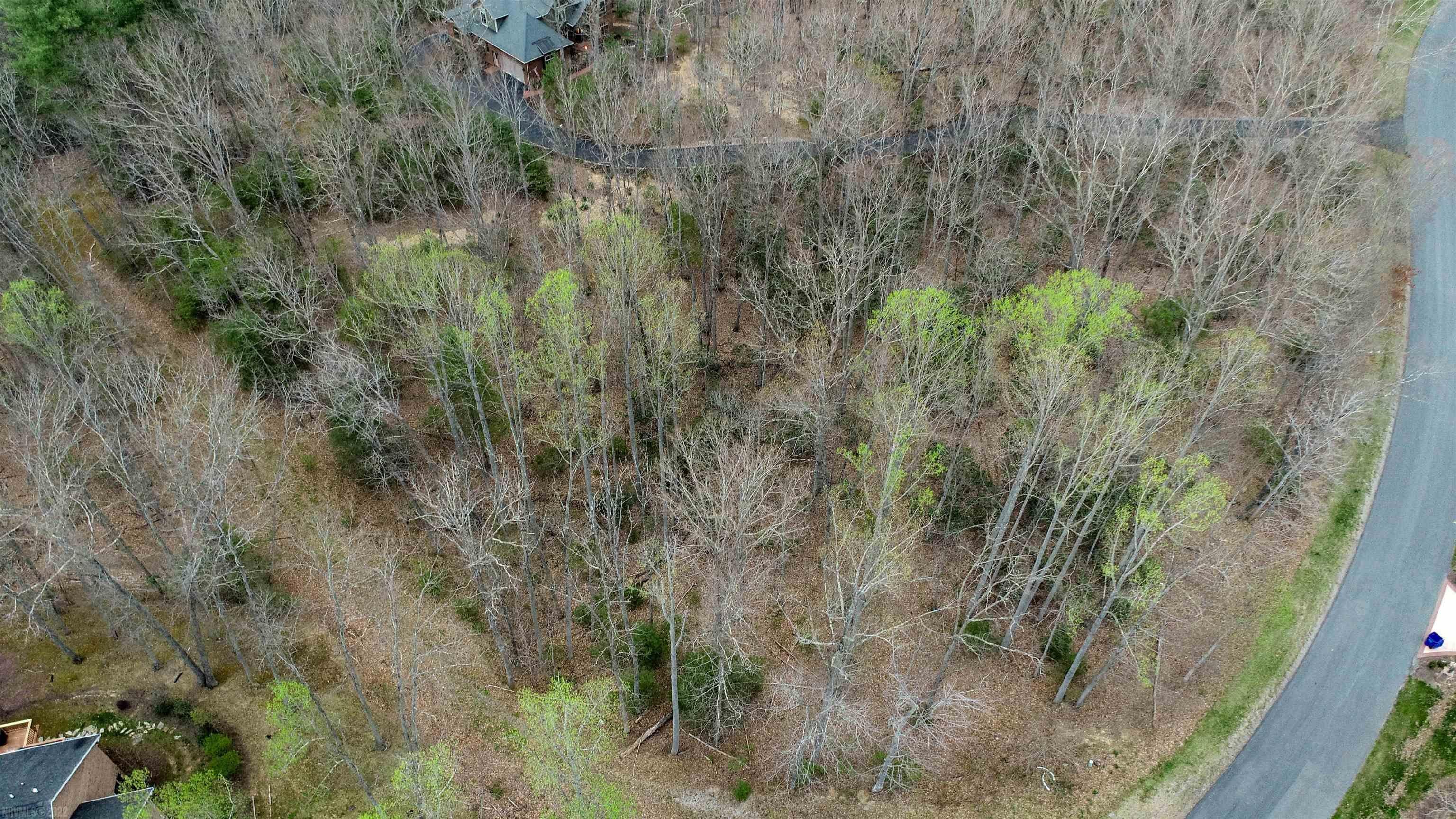 1115 Treetop Ridge Road Blacksburg, VA 24060 - Photo 23 of 26 Gallery Image 23