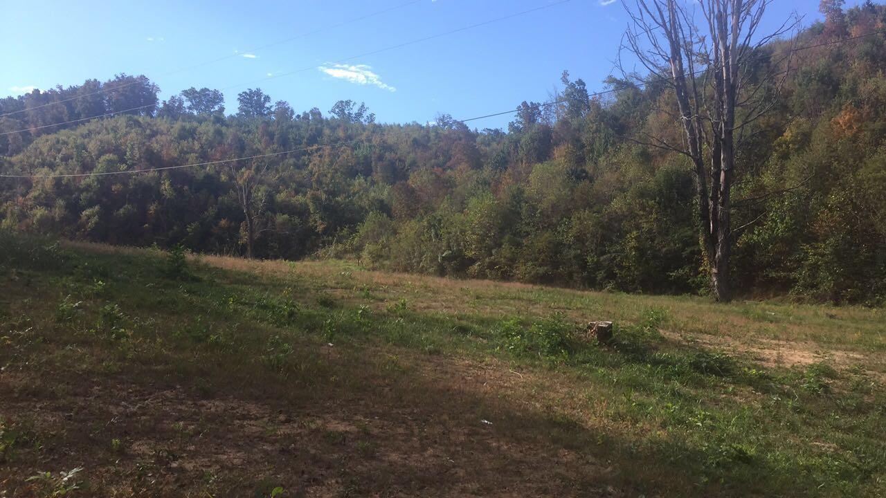 Hodgetown Road Rutledge, TN 37861 - Photo 1 of 9 Flat Land Road Frontage