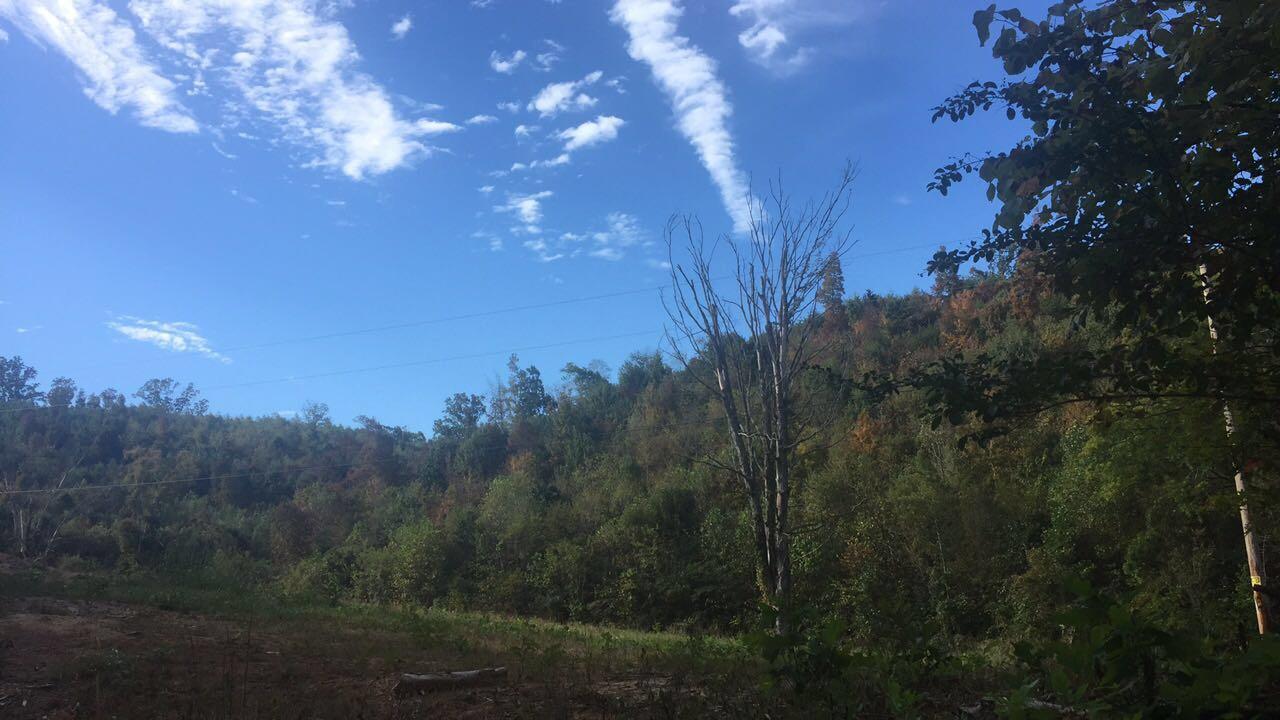 Hodgetown Road Rutledge, TN 37861 - Photo 2 of 9 View of the Acreage from the Bottom