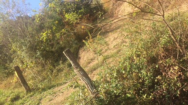 Hodgetown Road Rutledge, TN 37861 - Photo 3 of 9 Two Logs with Wire Locked Line