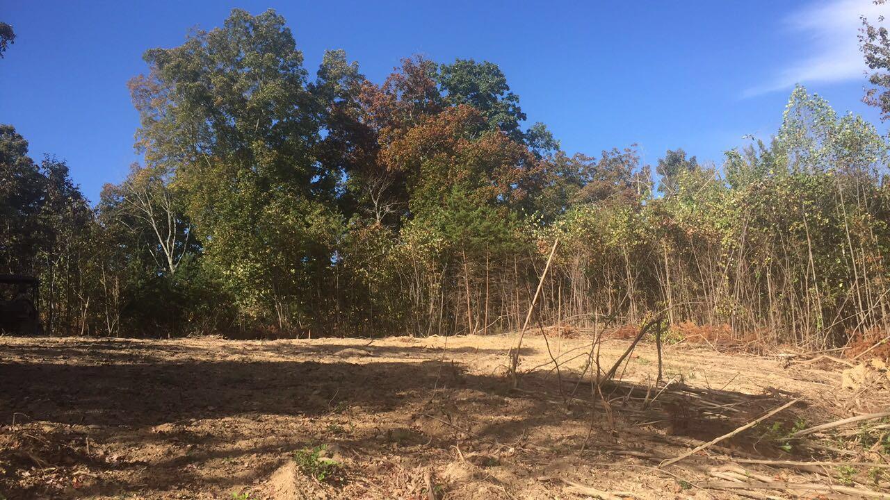 Hodgetown Road Rutledge, TN 37861 - Photo 6 of 9 Logged Land