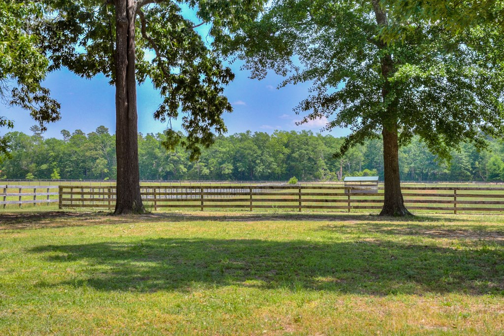 490 Big Tree Road Salley, SC 29137 - Photo 49 of 68